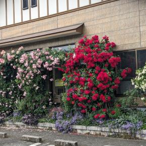 大好物ばかり✨