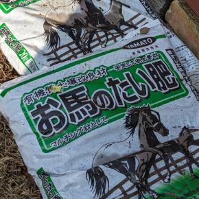 お馬さん大活躍