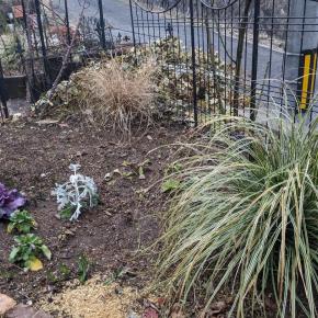 グラスの散髪と薪割り