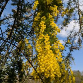ハチドリガーデンの春はゆっくりやって来る〜