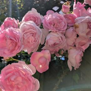 まだまだ続く⋯