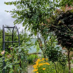 荒れ始めたガーデン⋯