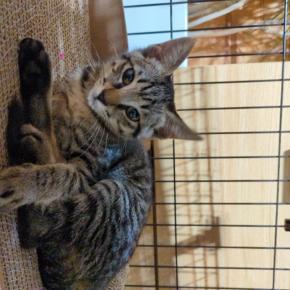 お盆休みの前に〜