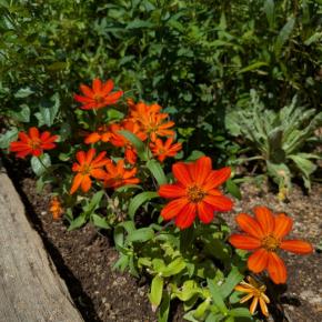 お庭も整理整頓！