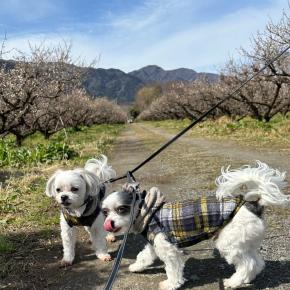 ふたりのおかげ