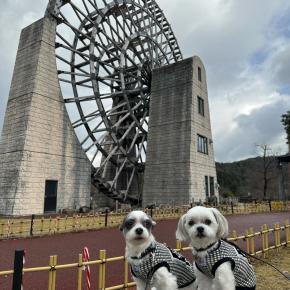 今年もありがとうございました