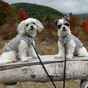 どよ〜んの連休？