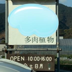 ++今年最後の多肉狩り*に行ってきました*++