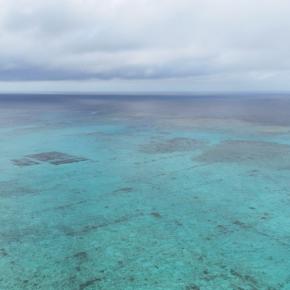 健康診断の結果