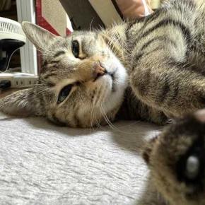 今日のキキととまと と 2025年は感謝しかない年でした