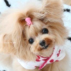 bebe&coco ( ｡･ω･｡)ﾉ 凸 ついに…楽天お買い物マラソン