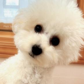 bebe&coco ( ;￣3￣) 困った次男坊と今日と昨日のお弁当