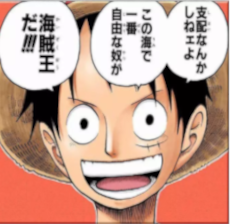 漫画ワンピースのルフィのセリフから読み解く幸せな人生とは