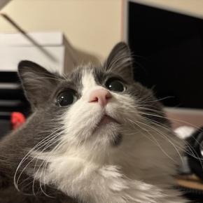 「信じちゃダメな算命学」その6