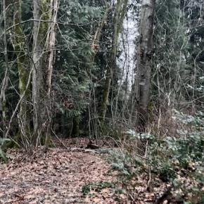 「理屈と感覚の算命学」その7