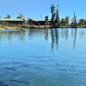 10/12 たくさん釣れました ～フィシングパーク高島の泉～ Lesson 51