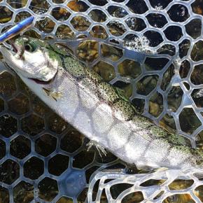 10/6 ミノーイングが楽しいフィッシングパーク高島の泉 Lesson 53