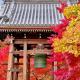 京都 智積院 紅葉と鐘楼の風景写真