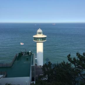 太宗台でデマドが見えた(^^)/