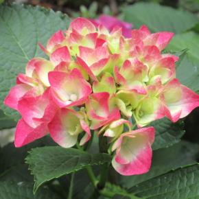 介護を始める時にまず用意するモノ