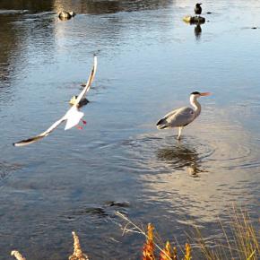 パートが休みの日は太るんよ( `◯ ω ◯ ) 