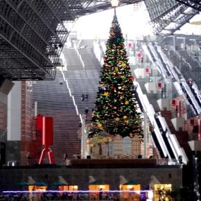 うーん🙄睡眠不足ハイテンションとは