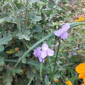 運命はすでに手の中