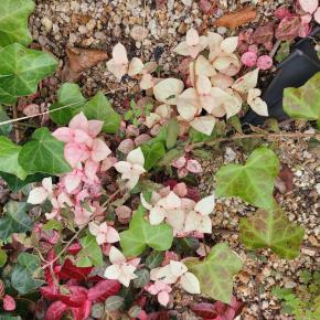 この人には自分が必要だと知っている