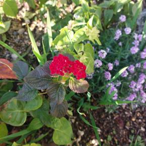 直感じゃなくて確信だった