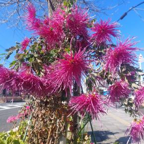 今年を突破する