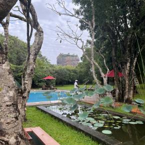 【スリランカ】アーユルヴェーダ・1人旅《2》