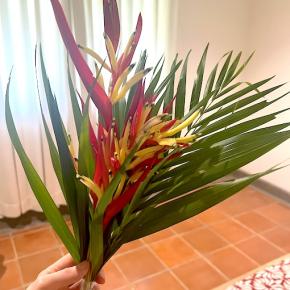 【スリランカ】アーユルヴェーダ・1人旅《5》