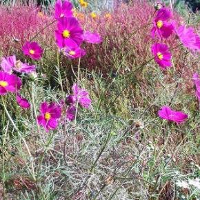 10月三連休、建設業決算変更届で・・！