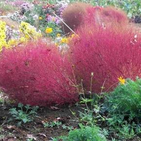 11月も下旬に・・建設業決算変更届、経審！