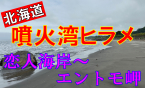 どうりで人がいないと思った～噴火湾サーフヒラメ～