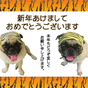 あけましておめでとうございます♪♪