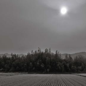 ふたつの逝きかた : 1073