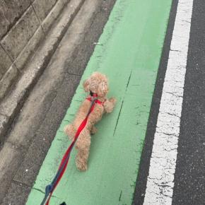 2025/2/26今日のホテルさん！