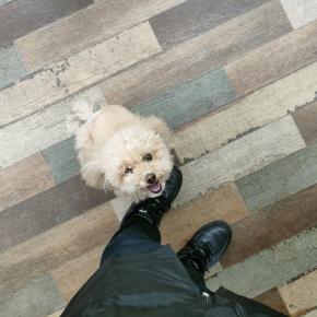 2/28のお泊り組さん♪