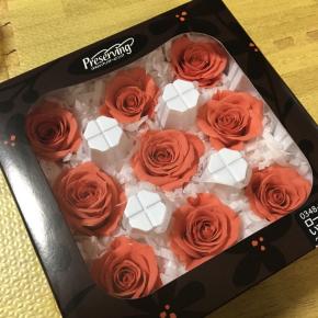 今年の新色と台風