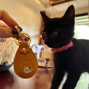 売上の一部が保護猫活動支援に！