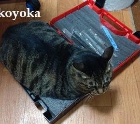 初めに言ってよ！！