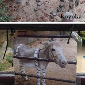 リニューアルされる