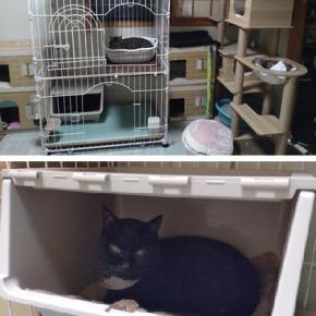 広くなって・・狭くなって