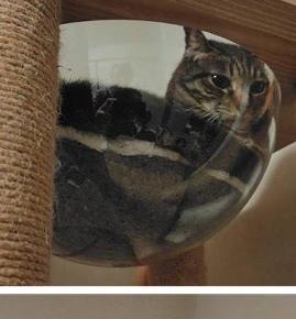 これからも入ってね