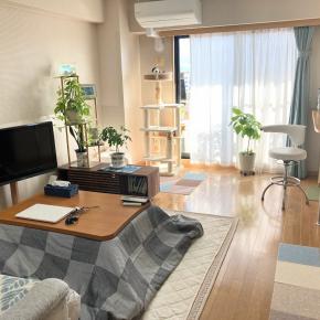 コタツを出す／息子帰宅／家飲み