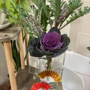 お正月を迎える準備／家呑み