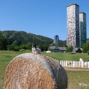 旅の後半は 5泊してゆっくり♪ （8）