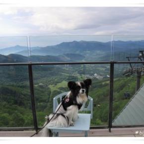 雲海テラスへ ♪ ㉜ 北海道旅 9日目（1） 