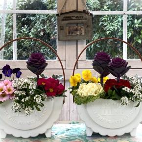 寄せ植えして販売②